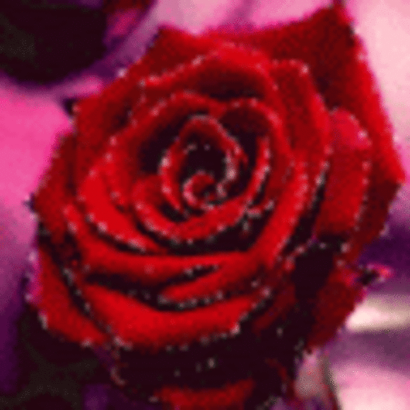 rosenavarro901